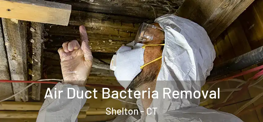 Air Duct Bacteria Removal Shelton - CT