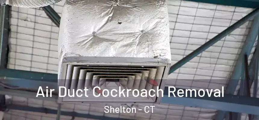 Air Duct Cockroach Removal Shelton - CT