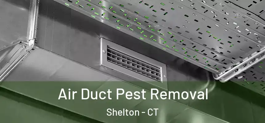  Air Duct Pest Removal Shelton - CT