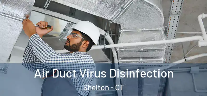 Air Duct Virus Disinfection Shelton - CT