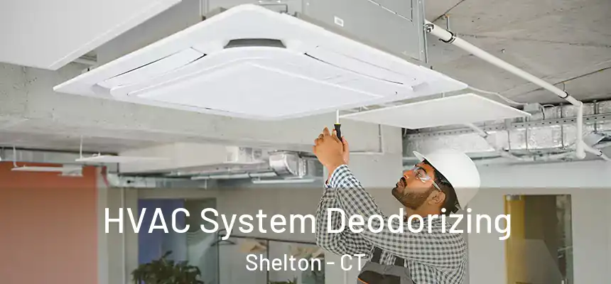 HVAC System Deodorizing Shelton - CT