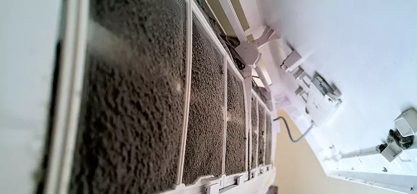 Preventive Air Duct Bacteria Removal in Shelton