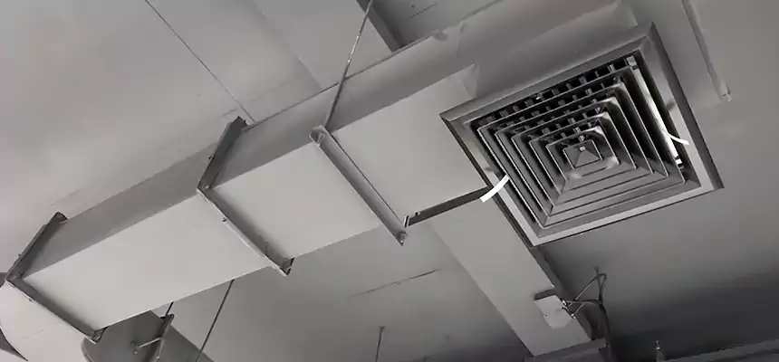 Restorative Allergy Relief Vent Cleaning – Coil, Blower & Housing Detail in Shelton