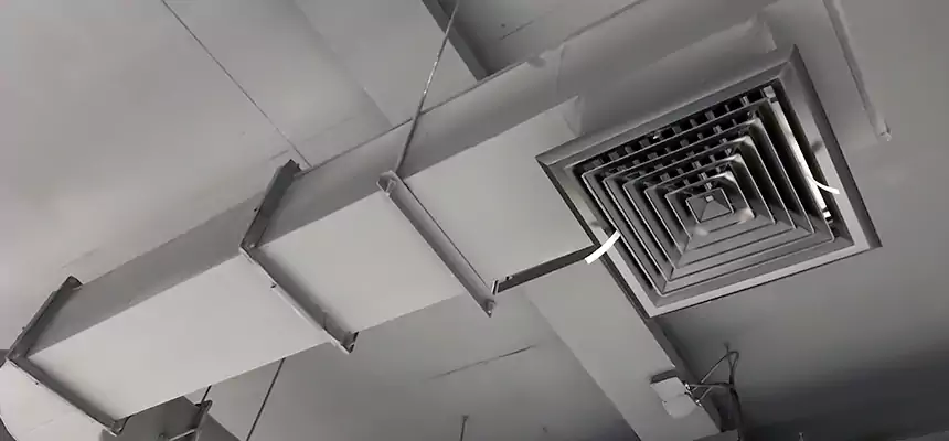 Our Pest Removal From Ducts Services in Shelton, CT