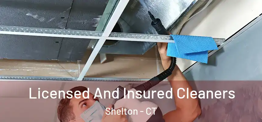 Licensed And Insured Cleaners Shelton - CT