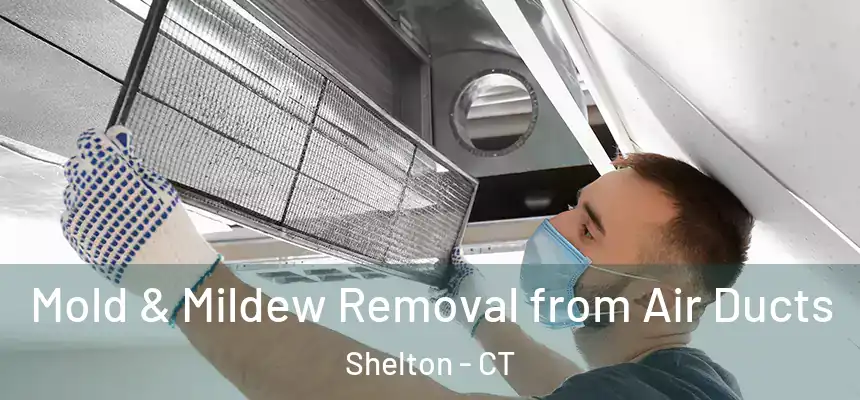  Mold & Mildew Removal from Air Ducts Shelton - CT
