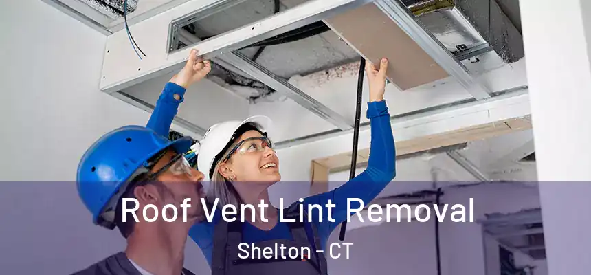 Roof Vent Lint Removal Shelton - CT