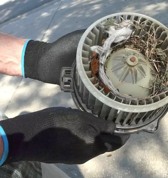 About Air Duct Mice Removal in Shelton, CT