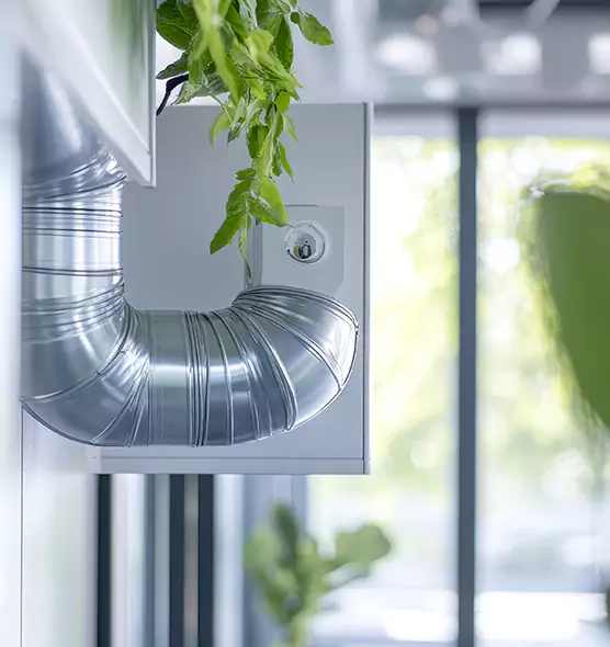 Professional Eco-Safe Dryer Vent Cleaning in Shelton, CT