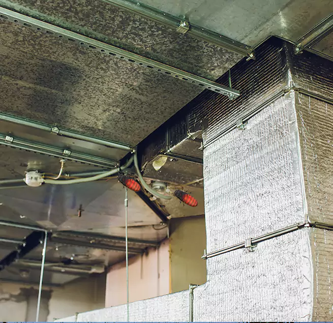 Why Homeowners & Businesses Trust Us Shelton, CT?