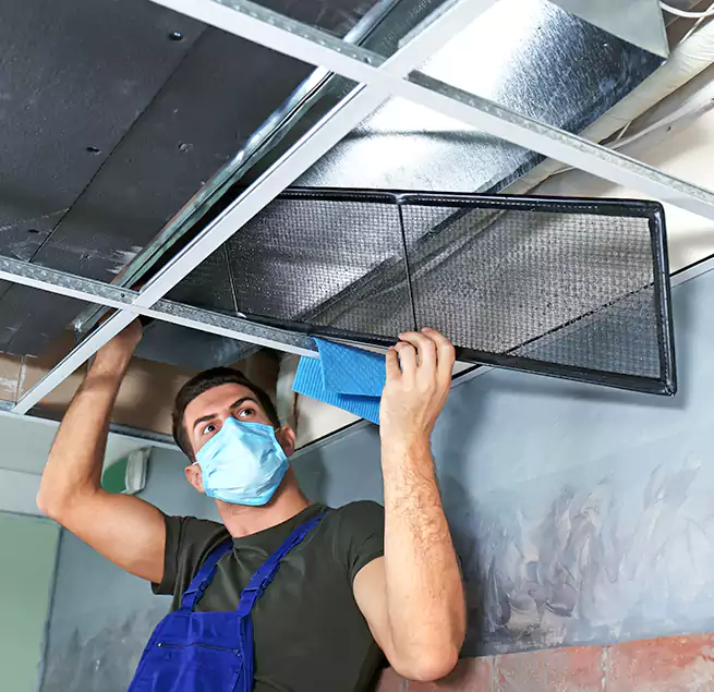 Why Homeowners Businesses Trust Us in Shelton, CT